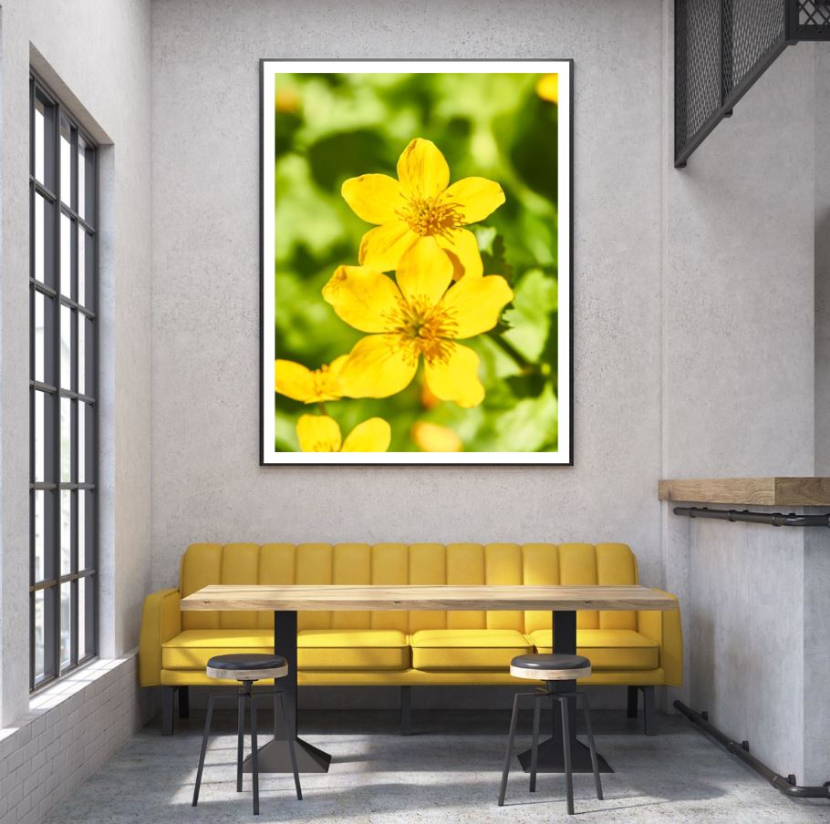 Flowers Closeup Photograph Home Decor Premium Quality Poster Print Choose Your Sizes