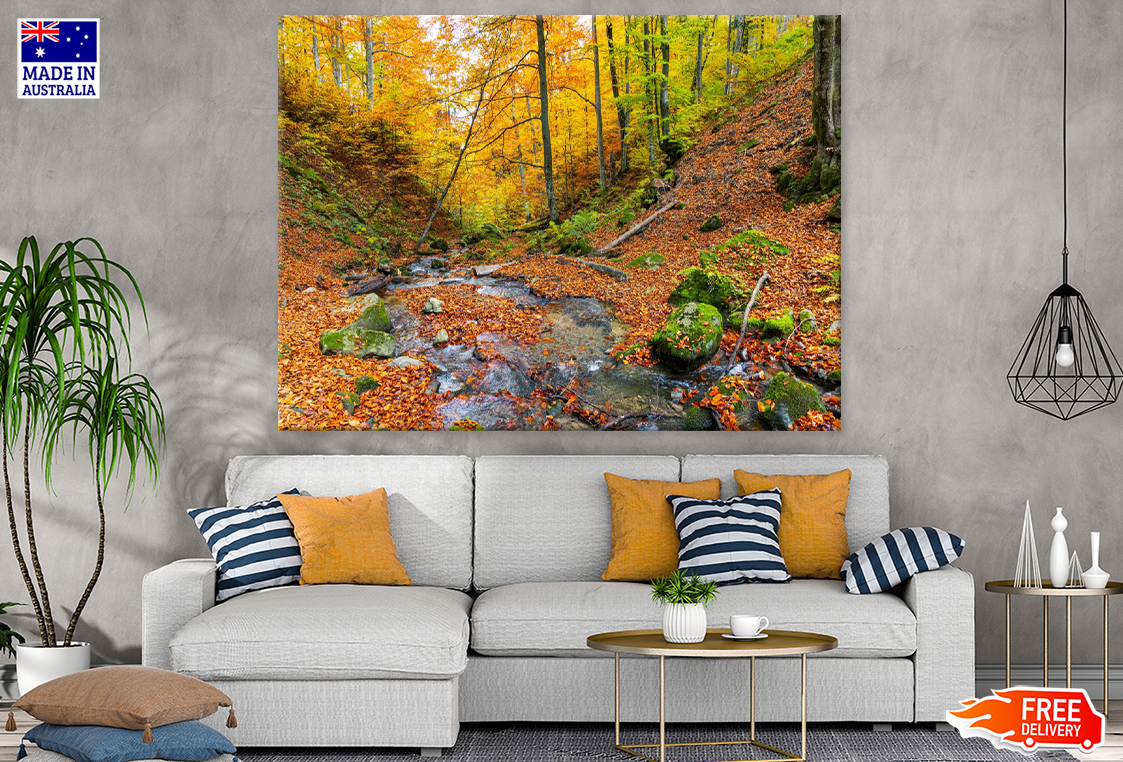 Autumn Leaves Photograph Print 100% Australian Made