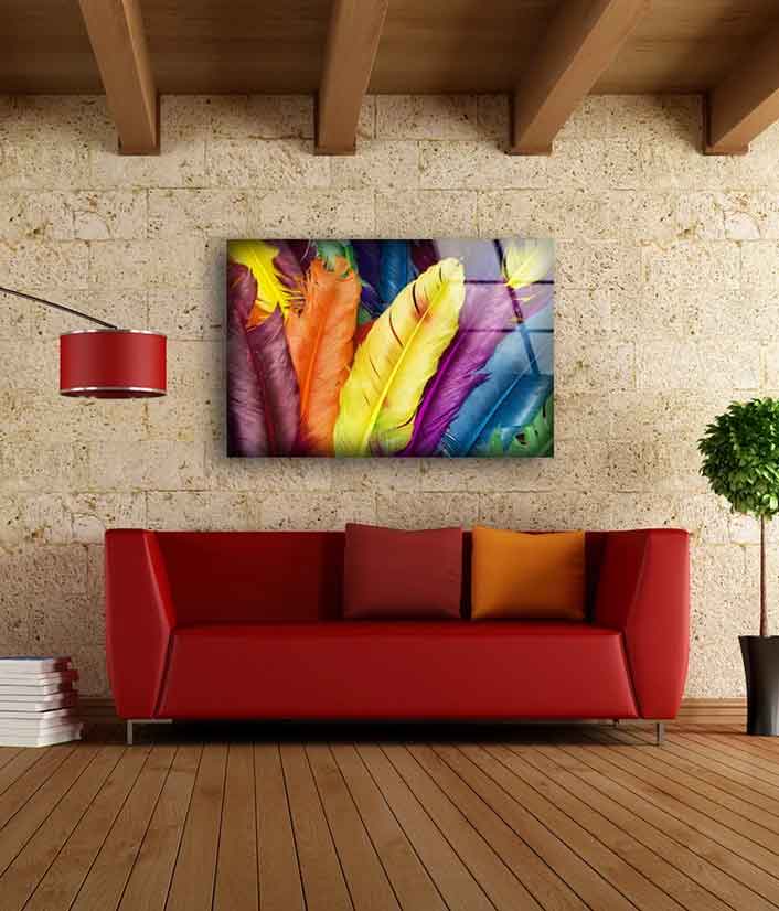 Multicolored Feathers Closeup Photograph Acrylic Glass Print Tempered Glass Wall Art 100% Made in Australia Ready to Hang