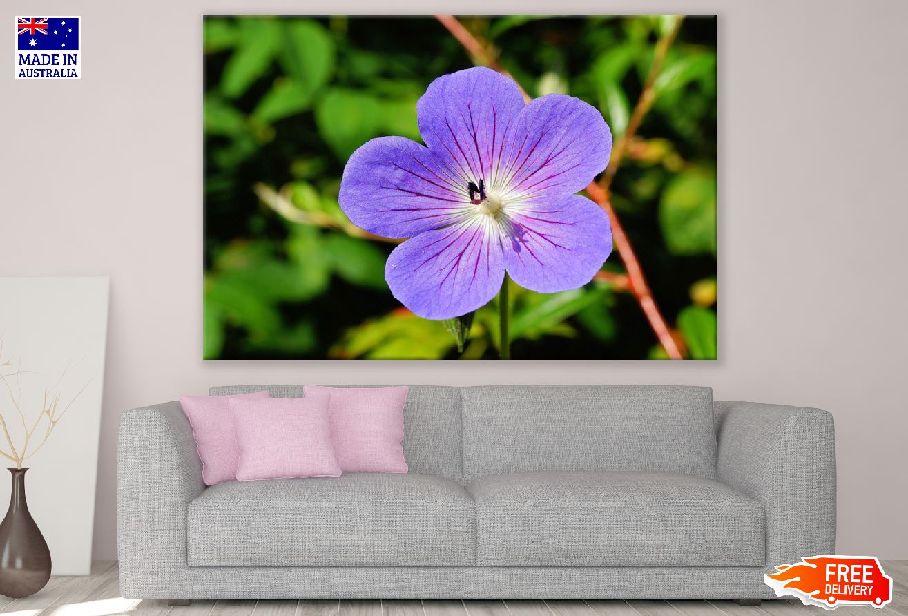 Purple Blossom Flower Closeup Photograph Print 100% Australian Made