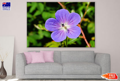 Purple Blossom Flower Closeup Photograph Print 100% Australian Made