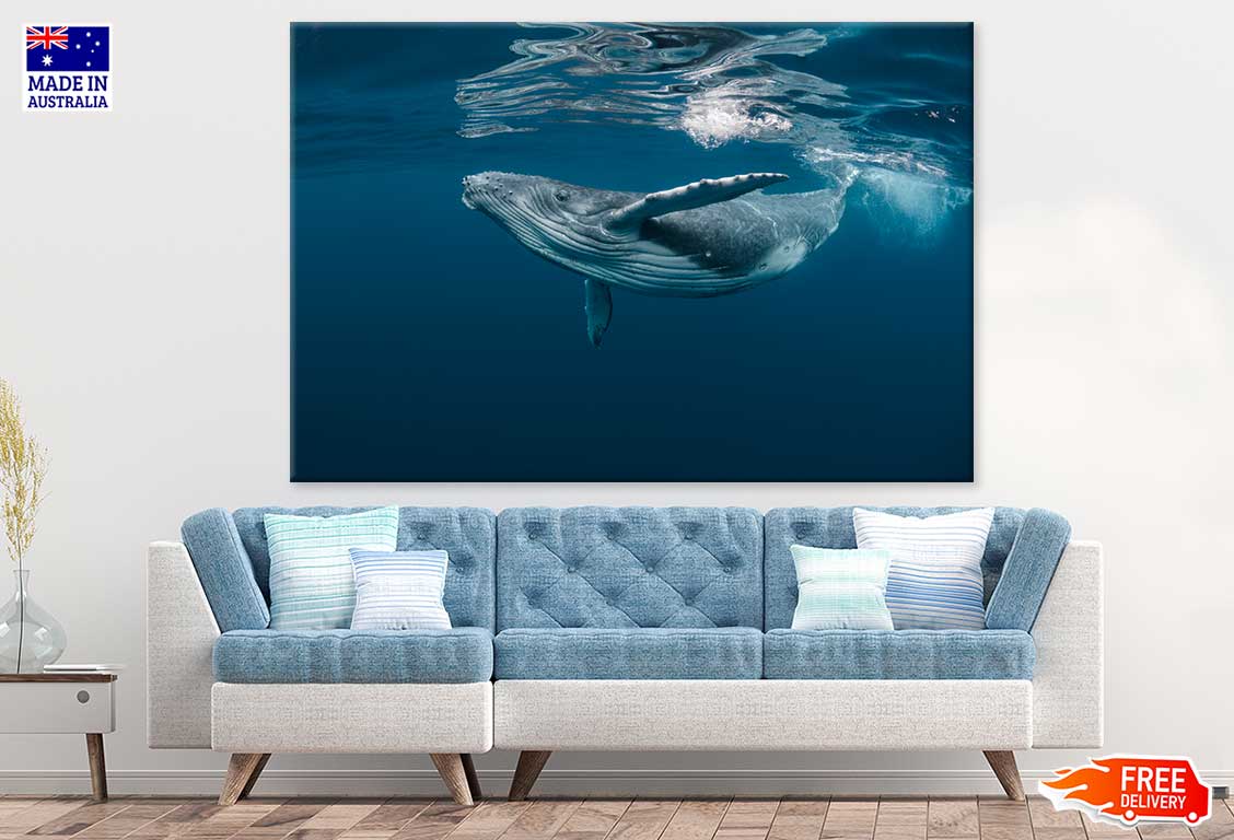 Blue Whale in Ocean Photograph Print 100% Australian Made