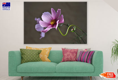 Pink Cosmos Flower Closeup Photograph Print 100% Australian Made