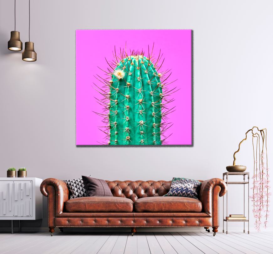 Square Canvas Cactus Plant High Quality Print 100% Australian Made