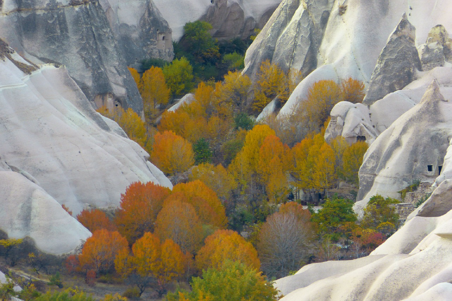 Autumn Trees & Rock Houses Photograph Print 100% Australian Made