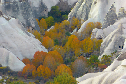 Autumn Trees & Rock Houses Photograph Print 100% Australian Made