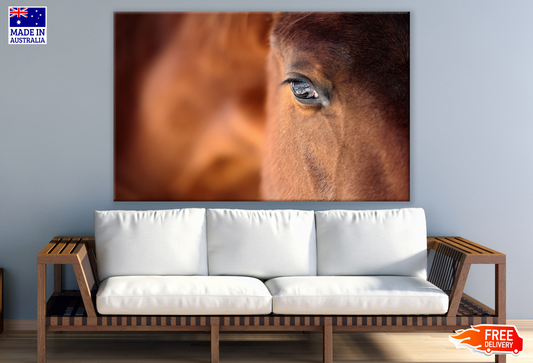 Horse Face Close up Portrait Photograph Print 100% Australian Made