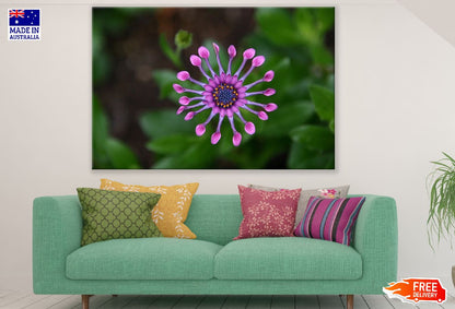 Lilac Flower Closeup Photograph Print 100% Australian Made
