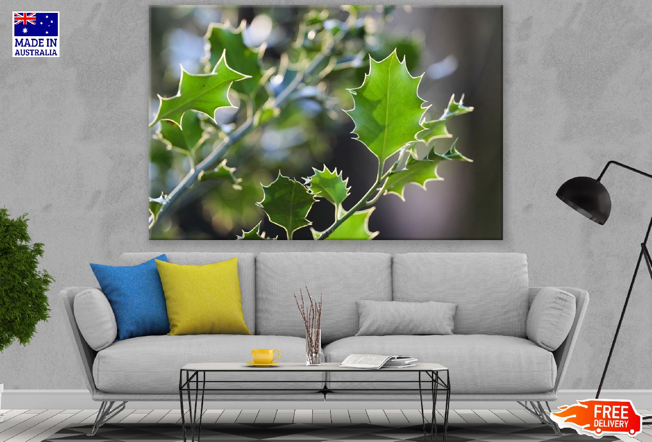 Ilex Tree Leaves Photograph Print 100% Australian Made