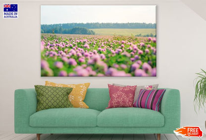 Pink Clover Flower In Green Grass Field Print 100% Australian Made