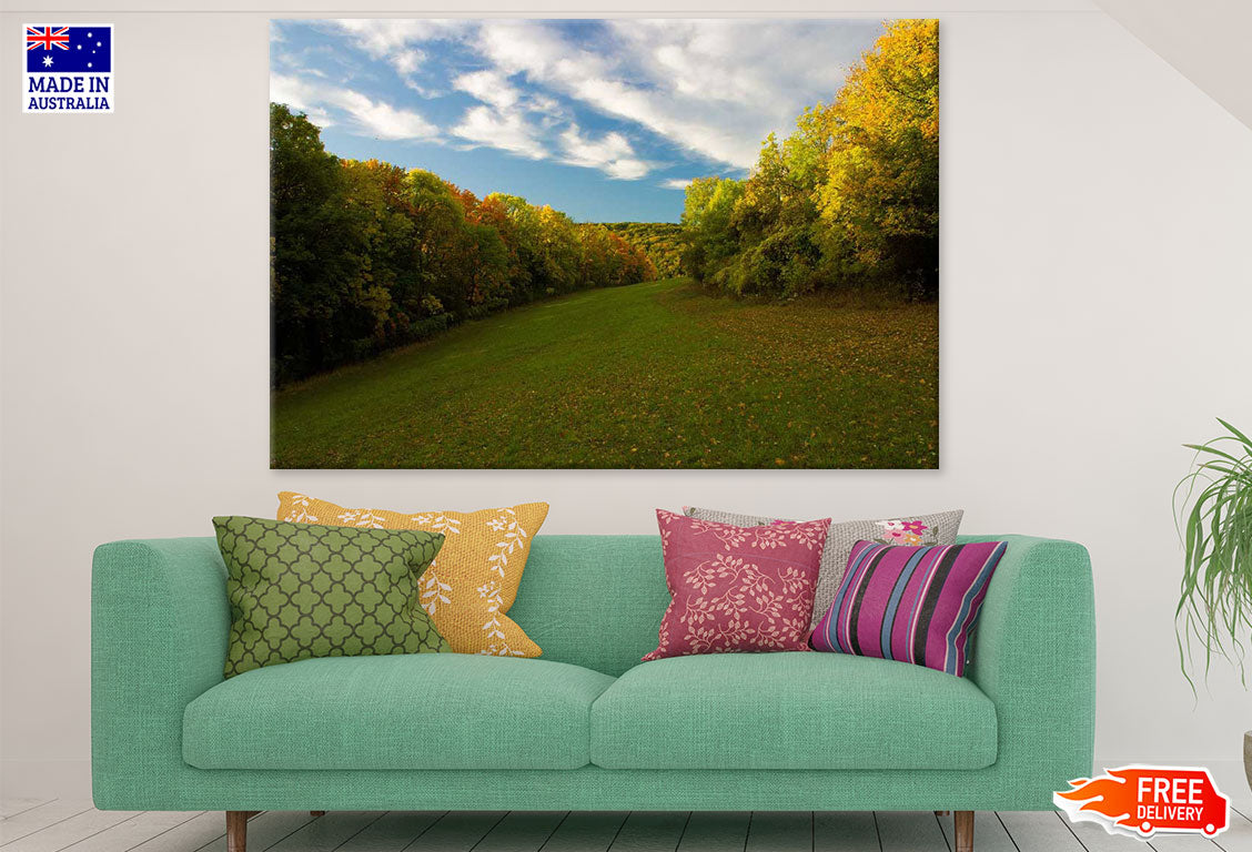 Forest Scenery Photograph Print 100% Australian Made