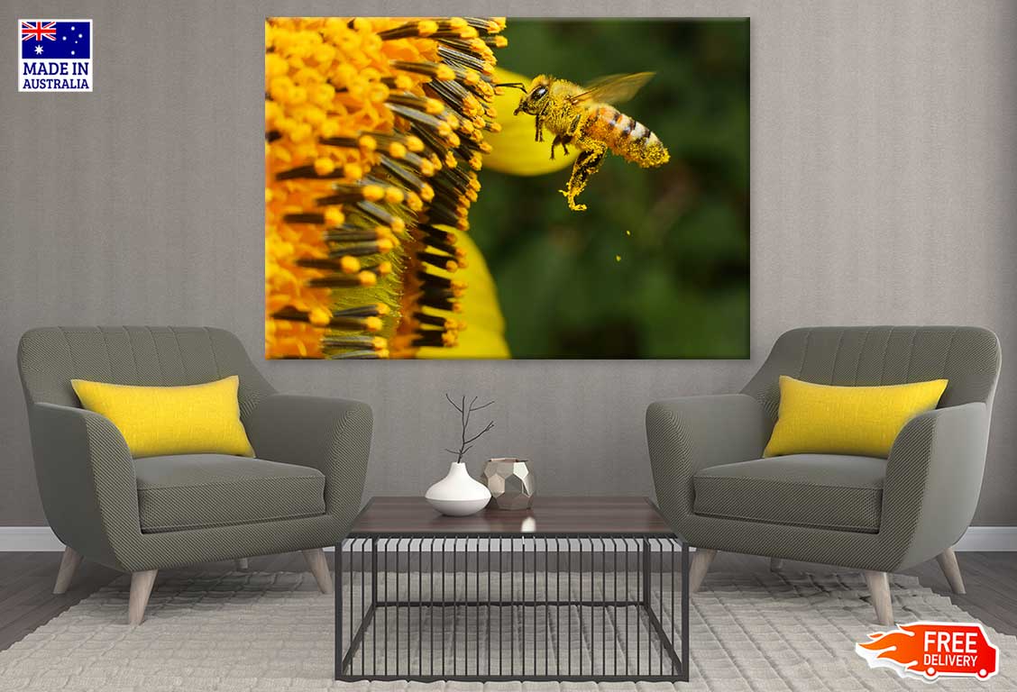 Bee on Yellow Flower Pollen Macro Photograph Print 100% Australian Made