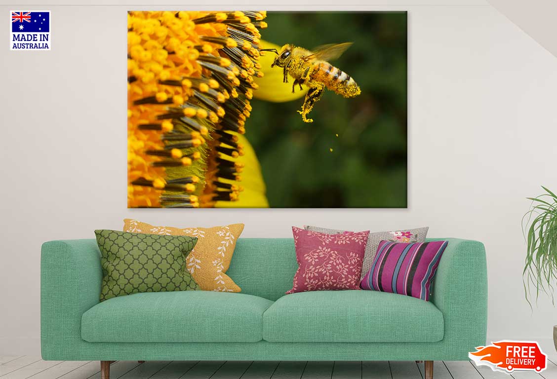 Bee on Yellow Flower Pollen Macro Photograph Print 100% Australian Made