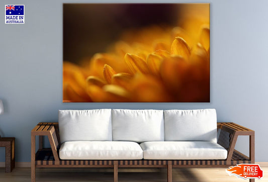 Orange Gerbera Flower Petals Closeup Photograph Print 100% Australian Made