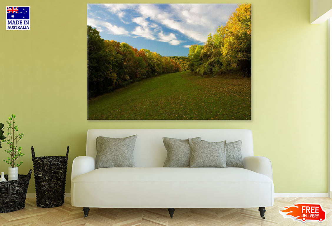 Forest Scenery Photograph Print 100% Australian Made