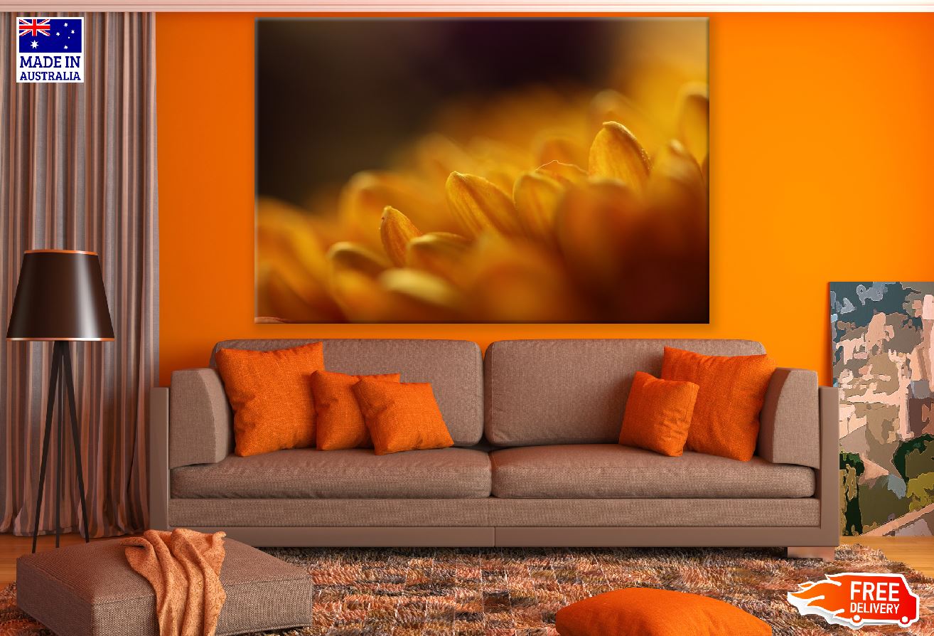 Orange Gerbera Flower Petals Closeup Photograph Print 100% Australian Made