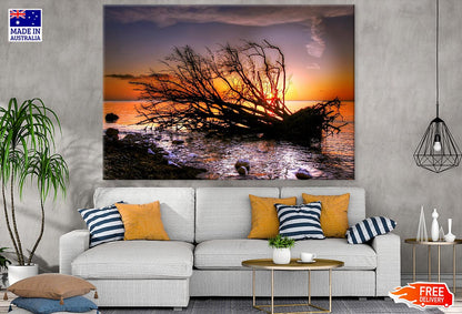 Dead Tree on Sea Sunset Photograph Print 100% Australian Made