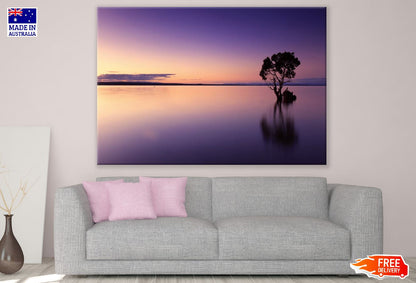 Tree View From Sea Sunset Photograph Print 100% Australian Made