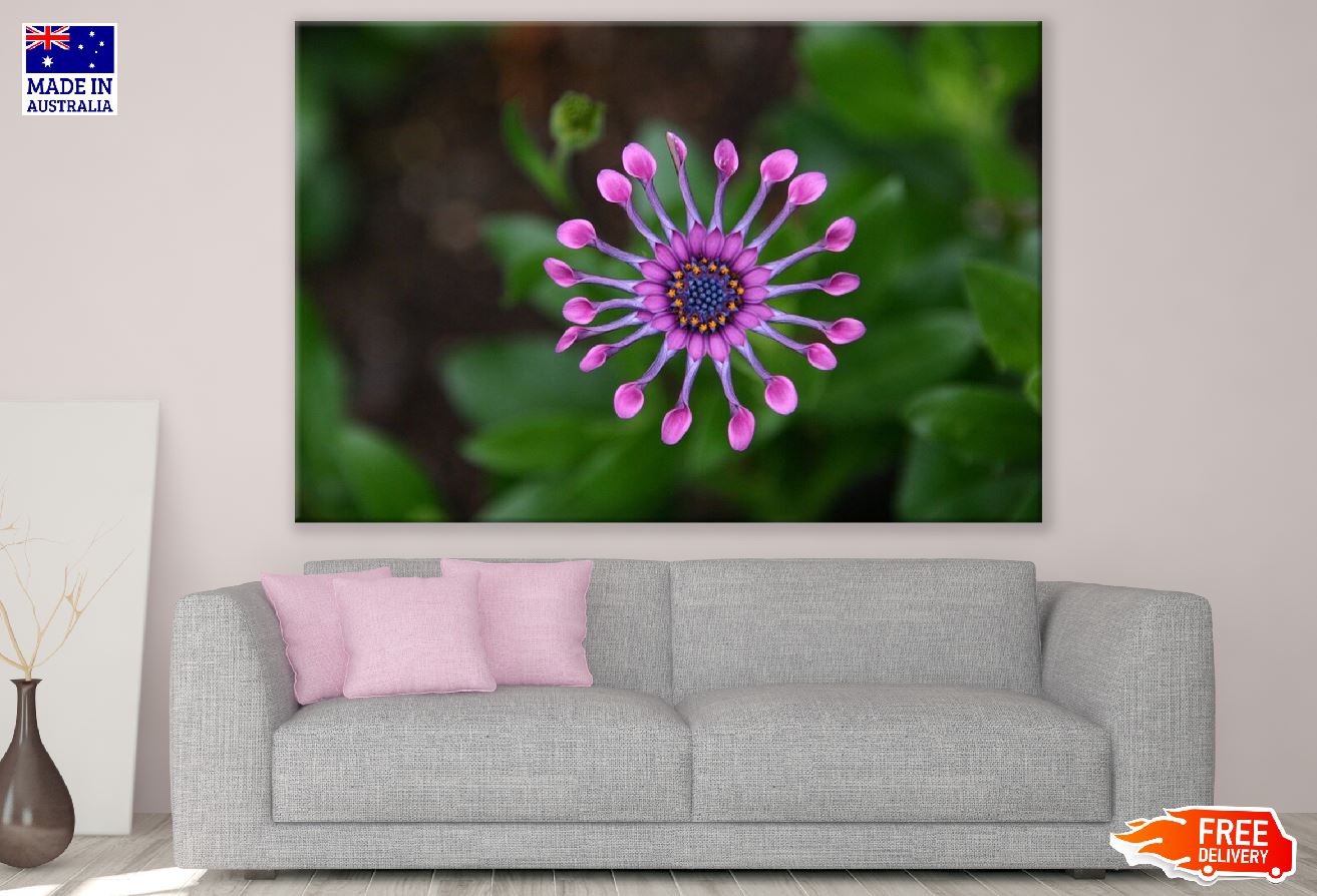 Lilac Flower Closeup Photograph Print 100% Australian Made