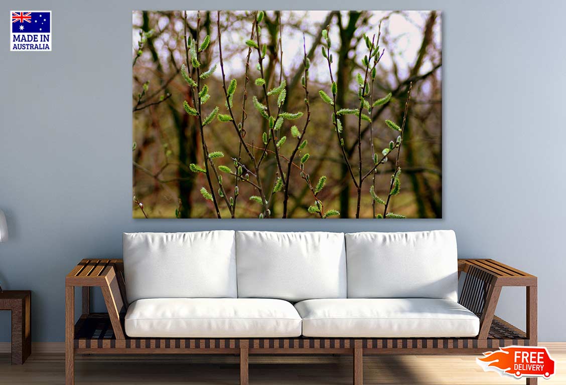 Plants Closeup Photograph Print 100% Australian Made