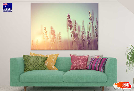 Lavender Flower Sunset Photograph Print 100% Australian Made