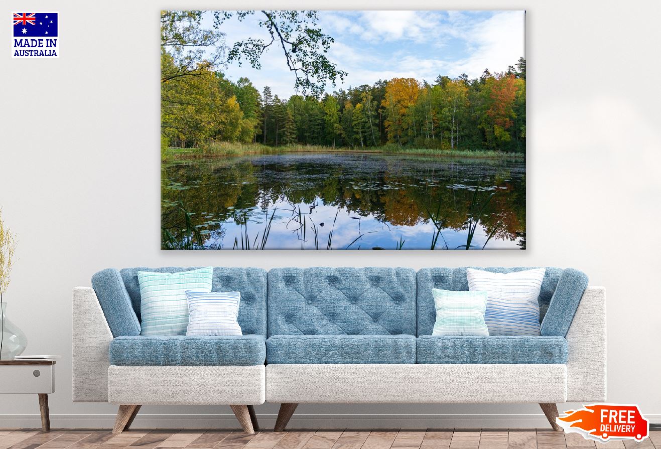 Autumn Trees with Lake Photograph Sweden Print 100% Australian Made