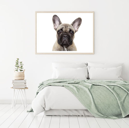 Cute Dog Portrait Photograph Home Decor Premium Quality Poster Print Choose Your Sizes