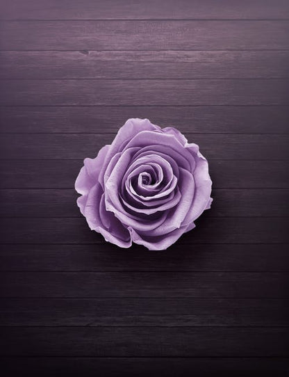 Purple Flower on a Table Closeup Photograph Print 100% Australian Made