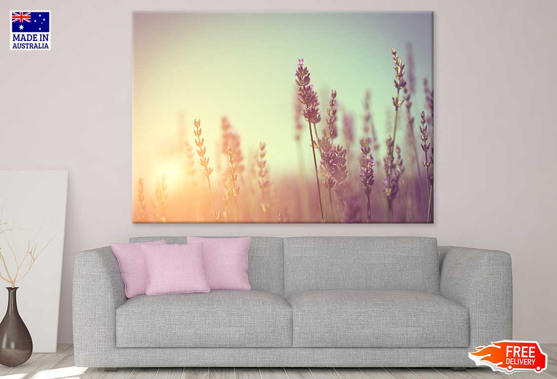 Lavender Flower Sunset Photograph Print 100% Australian Made