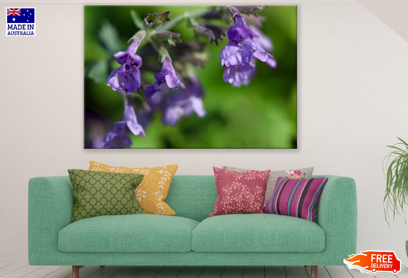 Grape Catnip Flowers Photograph Print 100% Australian Made