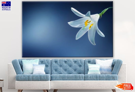 White Flower Closeup Photograph Print 100% Australian Made