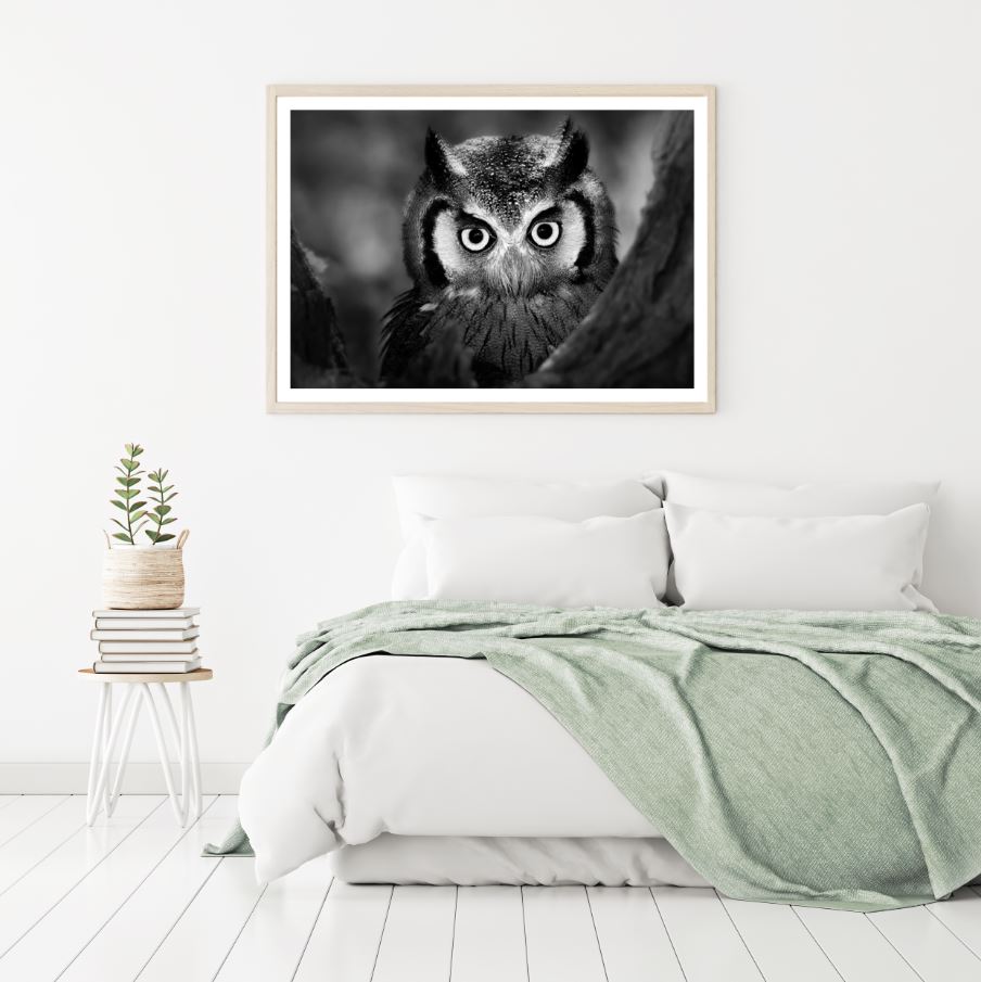 Owl Portrait Closeup Photograph Home Decor Premium Quality Poster Print Choose Your Sizes