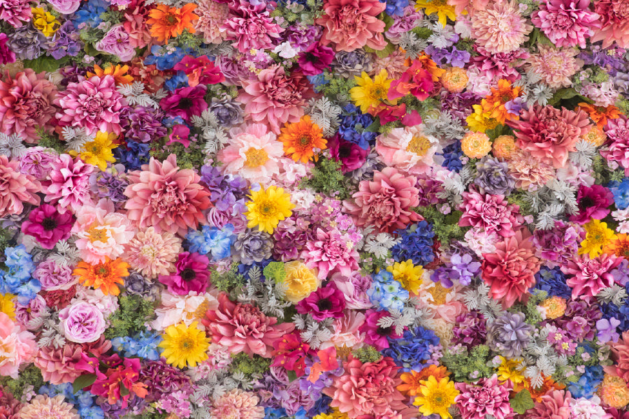 Colorful Flower Wall Photograph Print 100% Australian Made