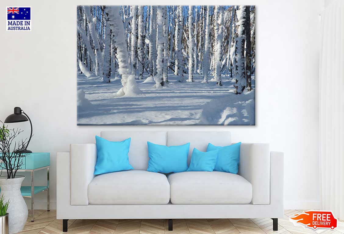 Snow Covered Forest Photograph Print 100% Australian Made