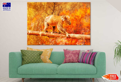 Koala Bear in Australian Bushfire View Photograph Print 100% Australian Made