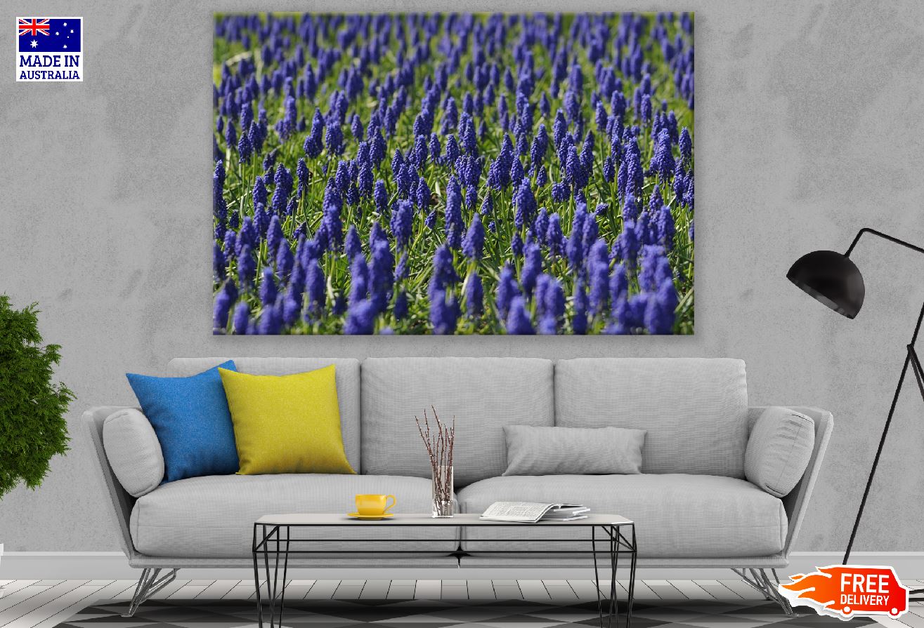 Blue Grape Hyacinths Flowers Photograph Print 100% Australian Made