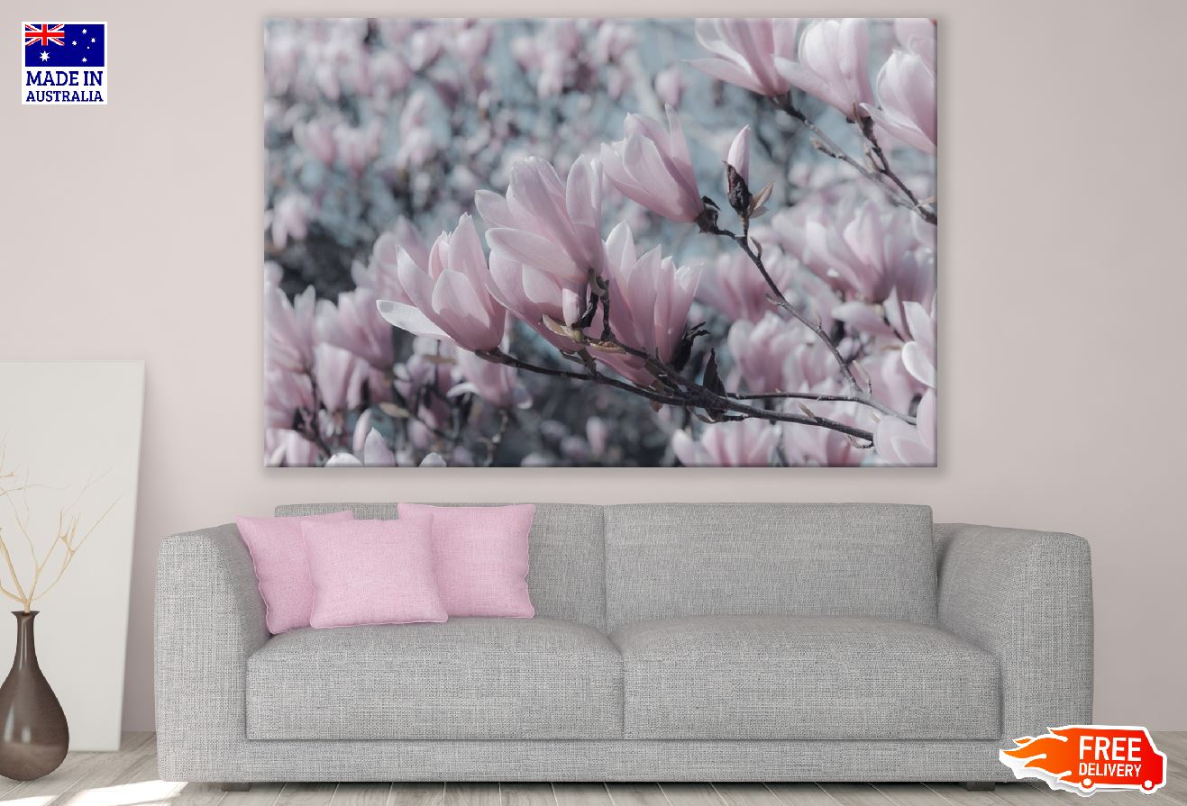 Pink Magnolia Flowers Closeup Photograph Print 100% Australian Made