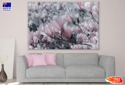 Pink Magnolia Flowers Closeup Photograph Print 100% Australian Made