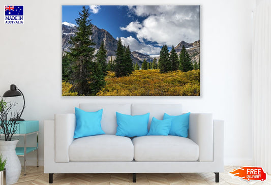 Trees Mountains Meadow Photograph Print 100% Australian Made