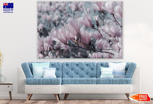 Pink Magnolia Flowers Closeup Photograph Print 100% Australian Made