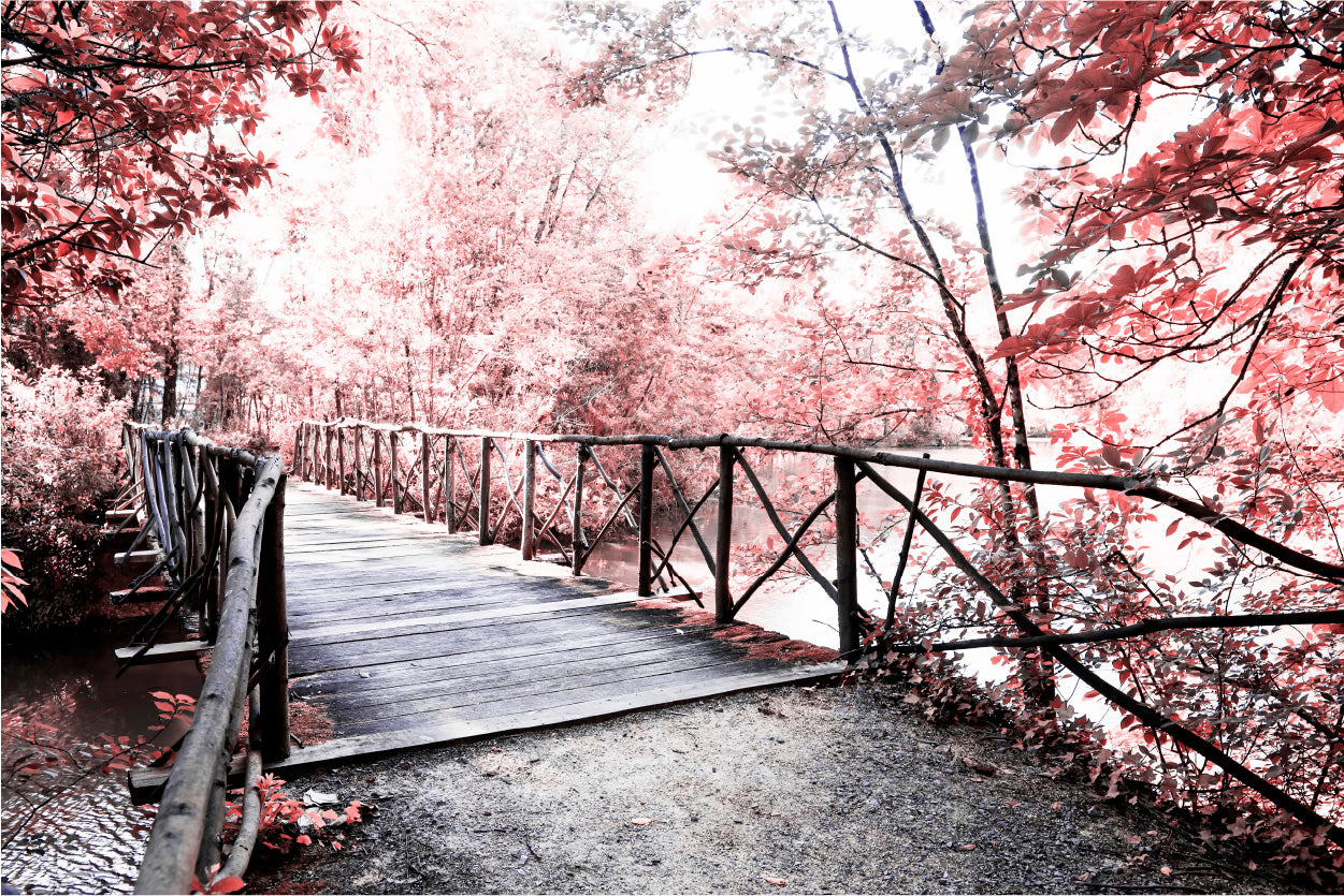 Bella Home Forest Bridge With Red Autumn Trees Print Canvas Ready to hang