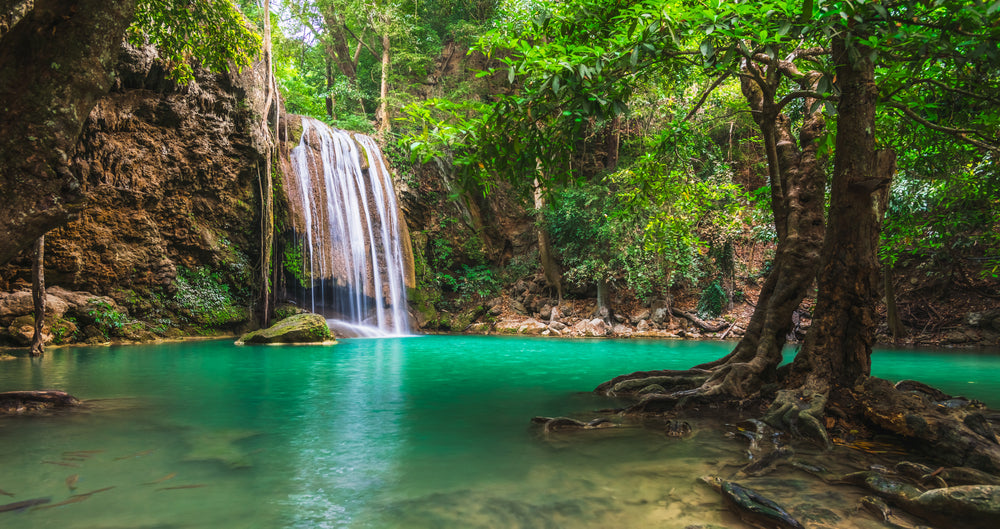 Stunning Waterfall in Forest Photograph Print 100% Australian Made