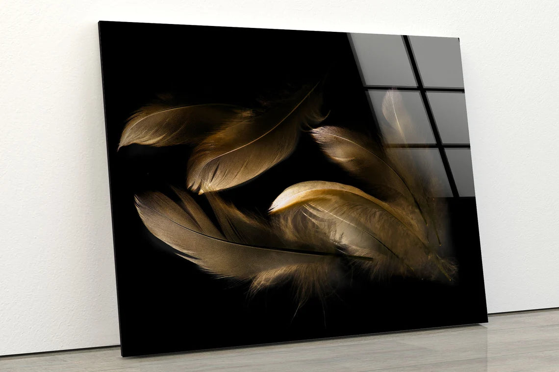 Feathers Closeup Photograph Acrylic Glass Print Tempered Glass Wall Art 100% Made in Australia Ready to Hang