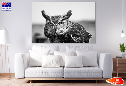 B&W Owl Portrait Photograph Print 100% Australian Made