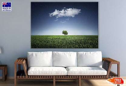 A Tree Covered with Clouds Photograph Print 100% Australian Made