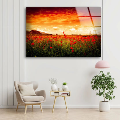 Red Flower Field Sunset Scenery Photograph Acrylic Glass Print Tempered Glass Wall Art 100% Made in Australia Ready to Hang