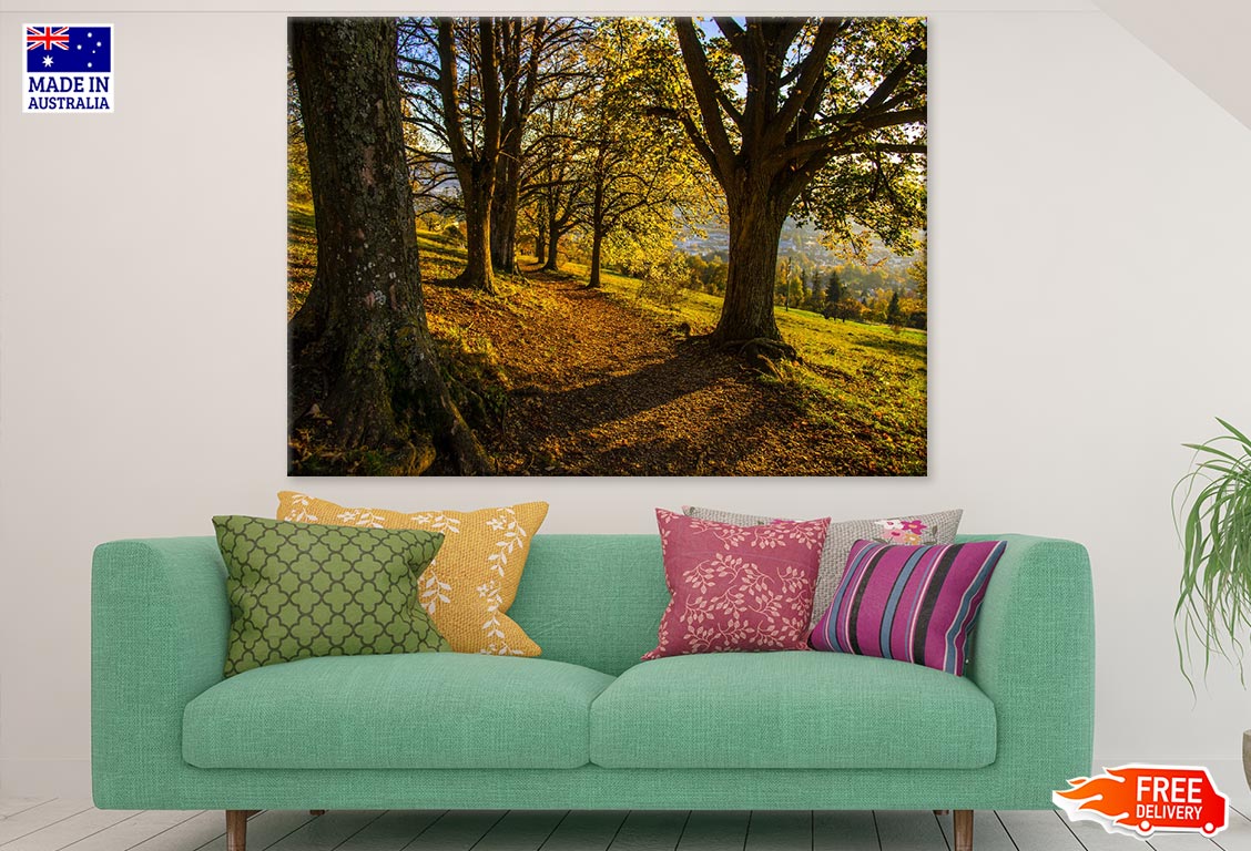 Trees on Hill Steep Sunny Day Photograph Print 100% Australian Made