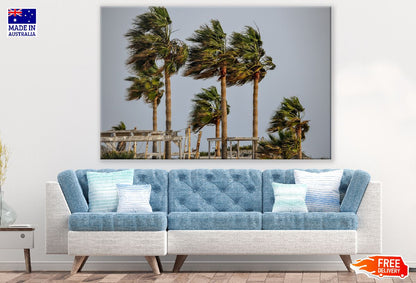 Palm Trees Blowing in the Wind Photograph Print 100% Australian Made