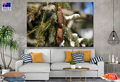 Snow Covered Pine Tree Branch Closeup Photograph Print 100% Australian Made