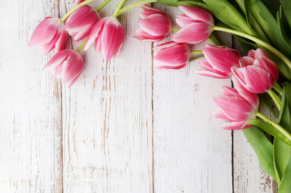 Pink Tulips On Wooden Table View Photograh Print 100% Australian Made